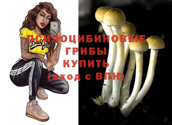 а пвп мука Балабаново