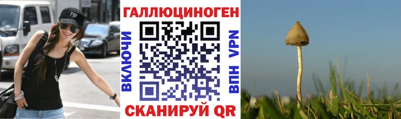 Псилоцибиновые грибы мухоморы  продажа наркотиков  mega ТОР  Белокуриха 
